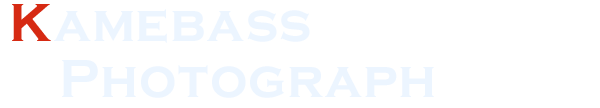 Kamebass